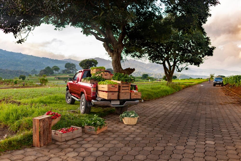 Our Farm